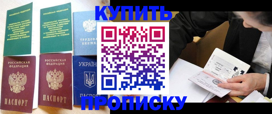 прописка для школы в Зее